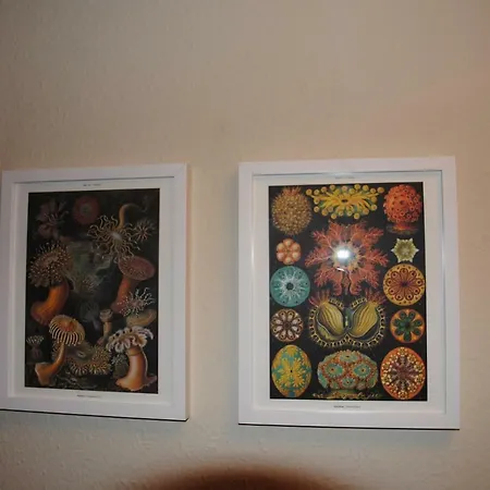 Apartment Inselresidenz Wattenmeer - 7 Juist