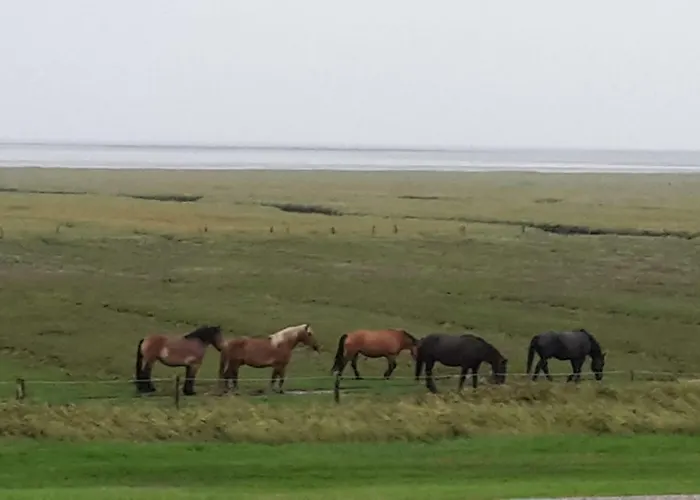 アパート Inselresidenz Wattenmeer - 7